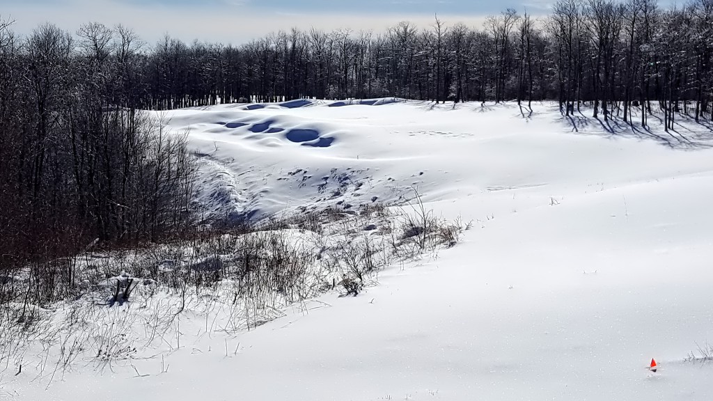 Lodestone Golf Club- Winter Time- Snow Art