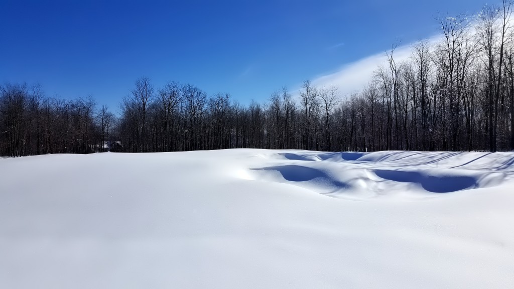 Lodestone Golf Club- Winter Time- Snow Art