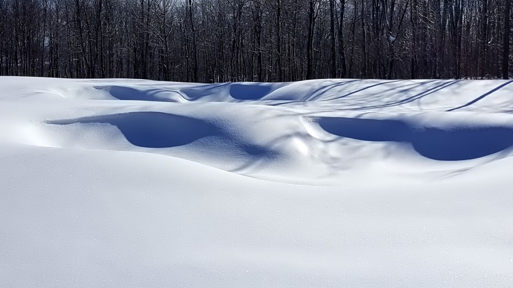 Lodestone Golf Club- Winter Time- Snow Art