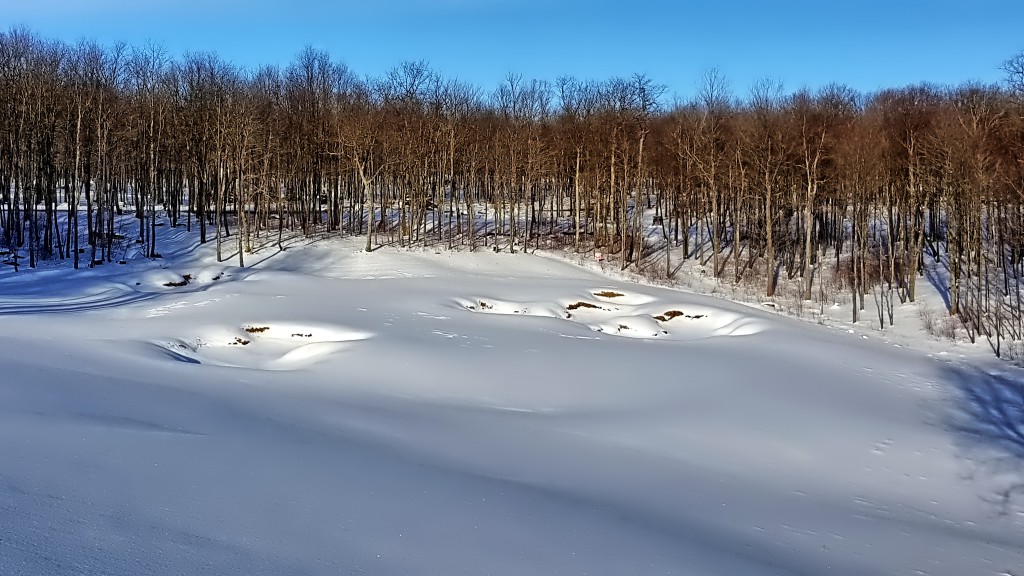 Lodestone Golf Club- Winter Time- Snow Art