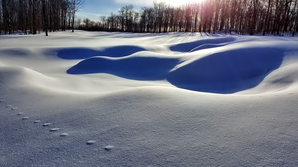 Lodestone Golf Club- Winter Time- Snow Art