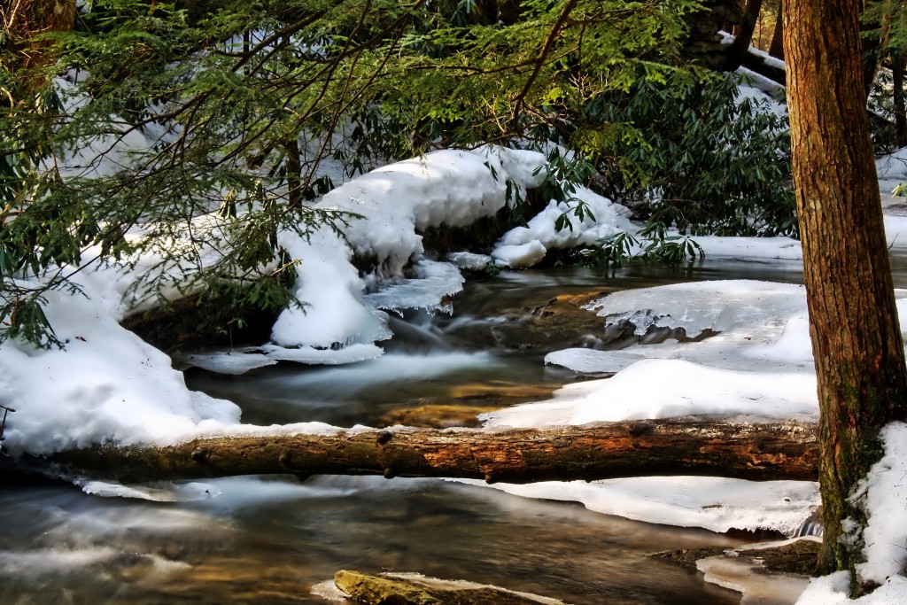 Swallow Falls State Park