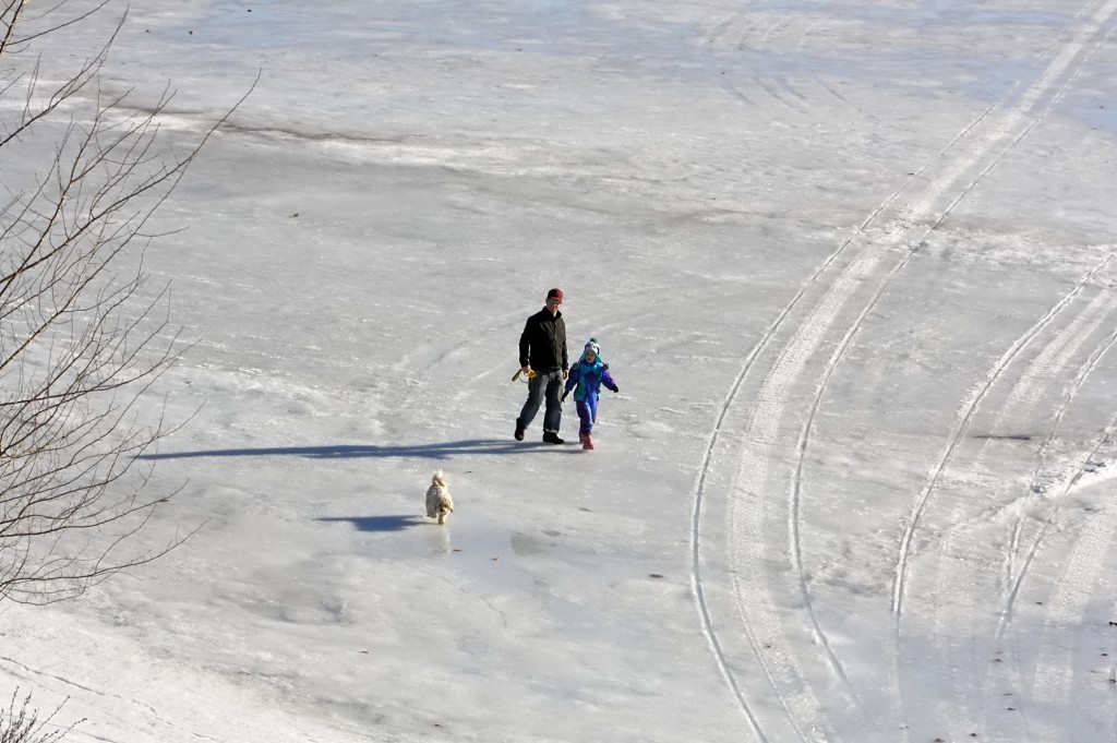 Iceyfamilydog walk