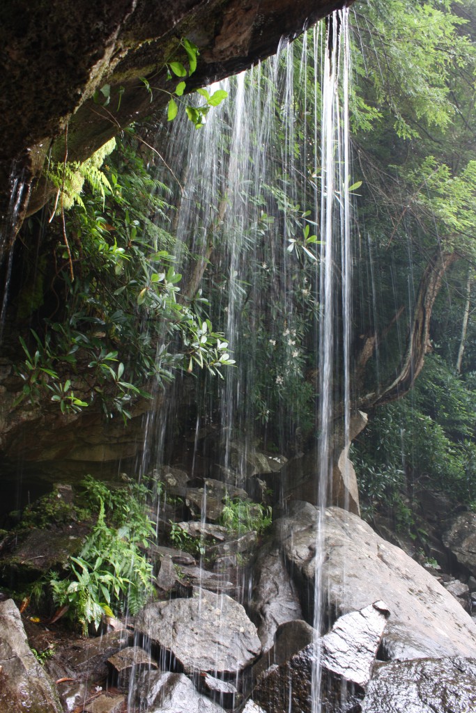 Behind Muddy Creek Falls