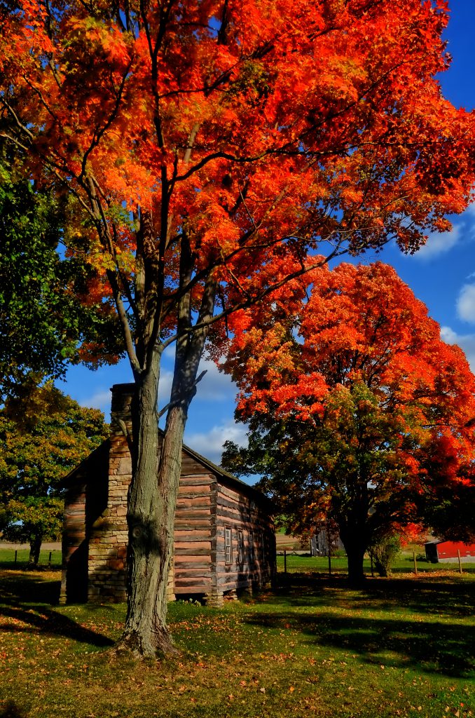 Drane House-Garrett County’s Past