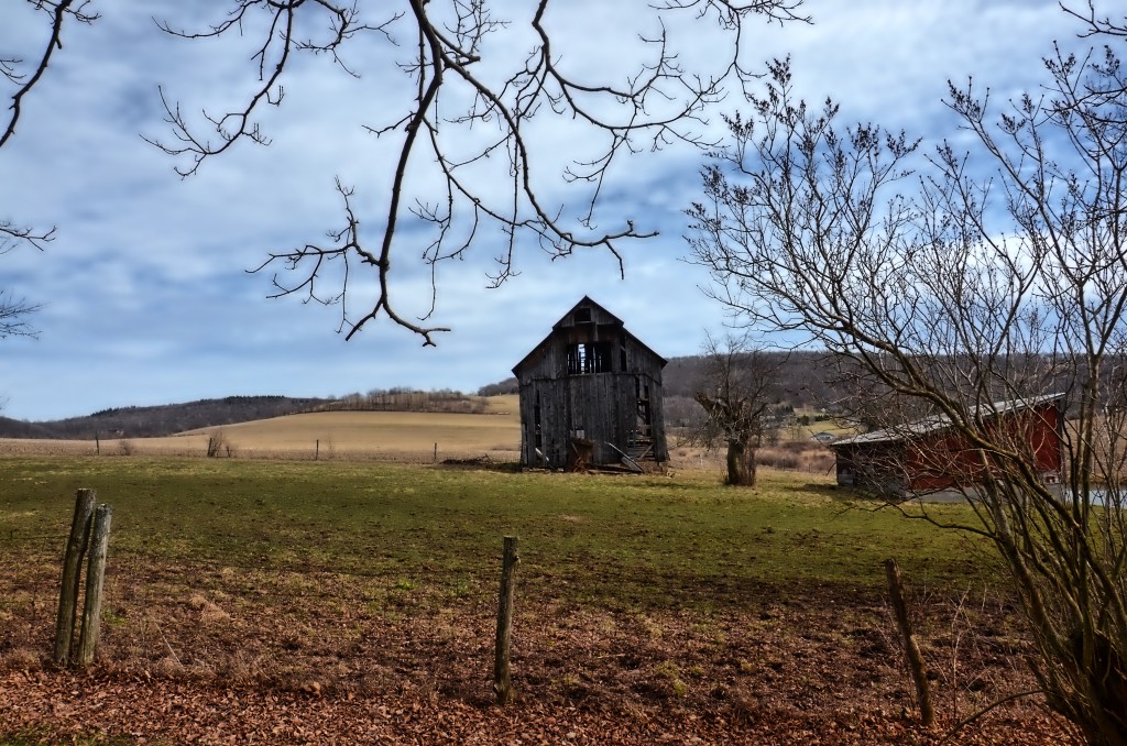 Drane House-Garrett County’s Past