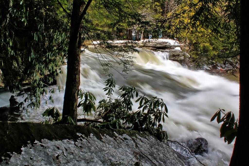 The Spring Thaw at Swallow Falls State Park