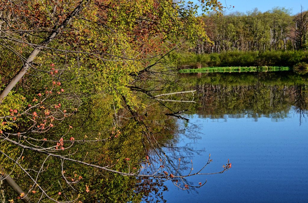 Springtime Weather Update Deep Creek Lake May 19, 2016