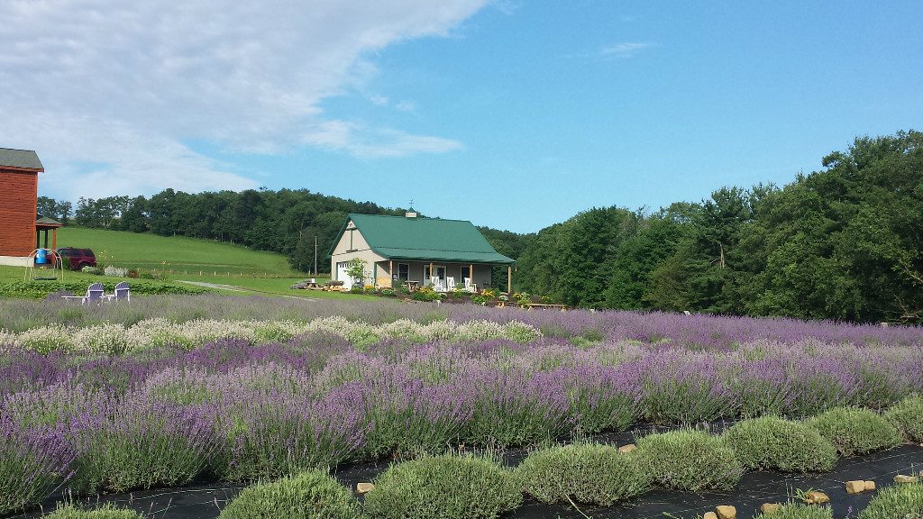 13 Top Rainy Day Activities at Deep Creek Lake, MD.