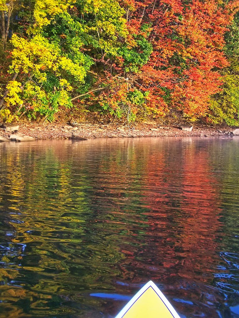 The Fall Foliage Season photographed from a Paddleboard