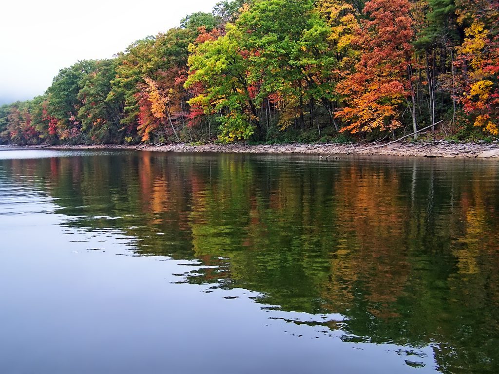 The Fall Foliage Season photographed from a Paddleboard