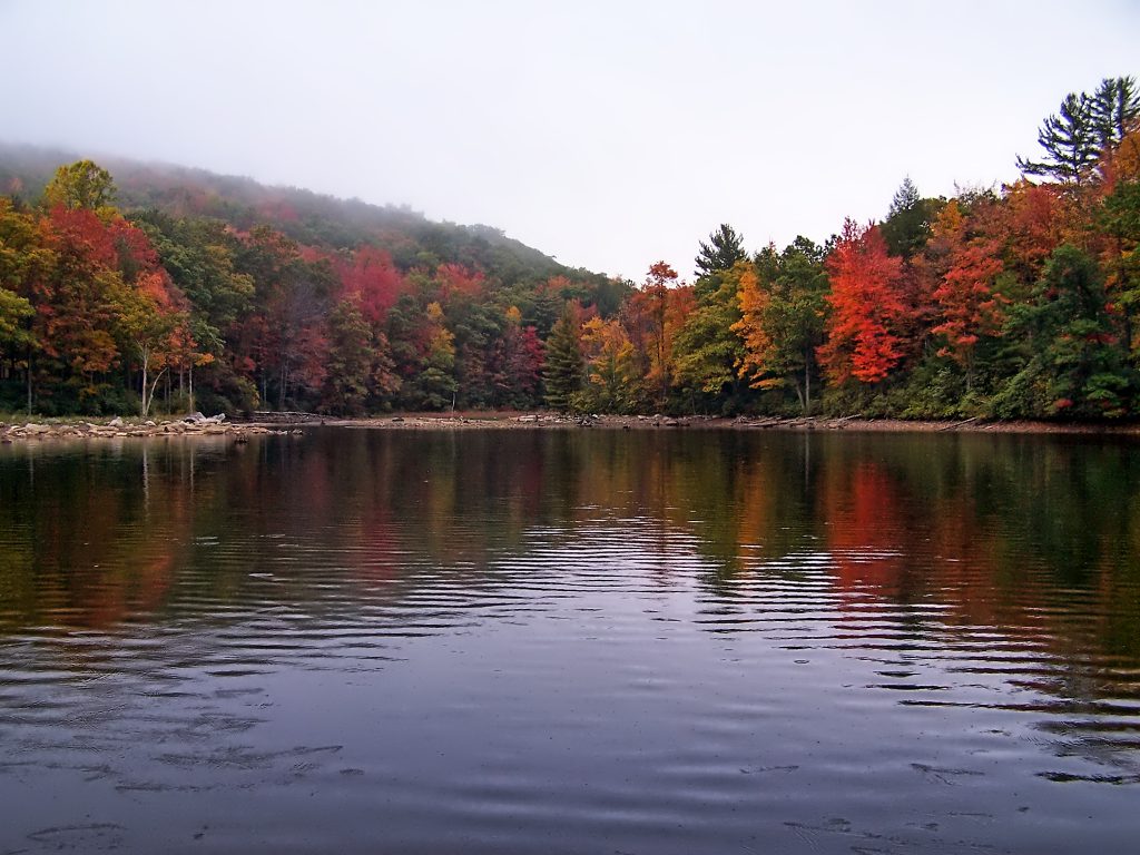 The Fall Foliage Season photographed from a Paddleboard