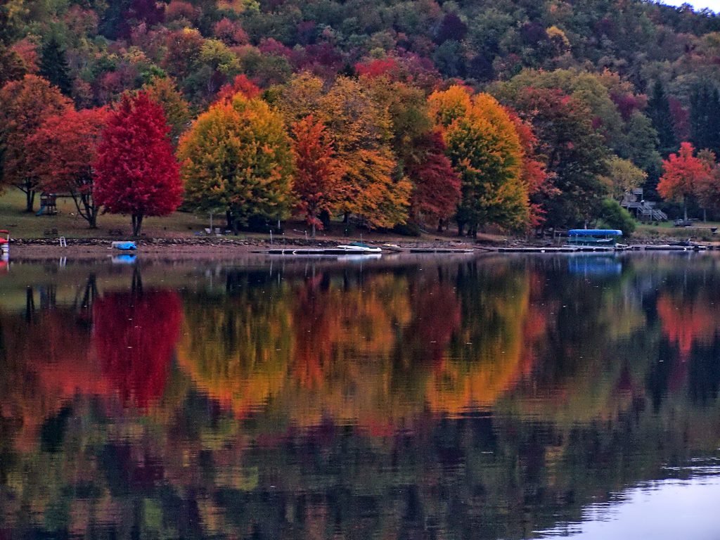 The Fall Foliage Season photographed from a Paddleboard