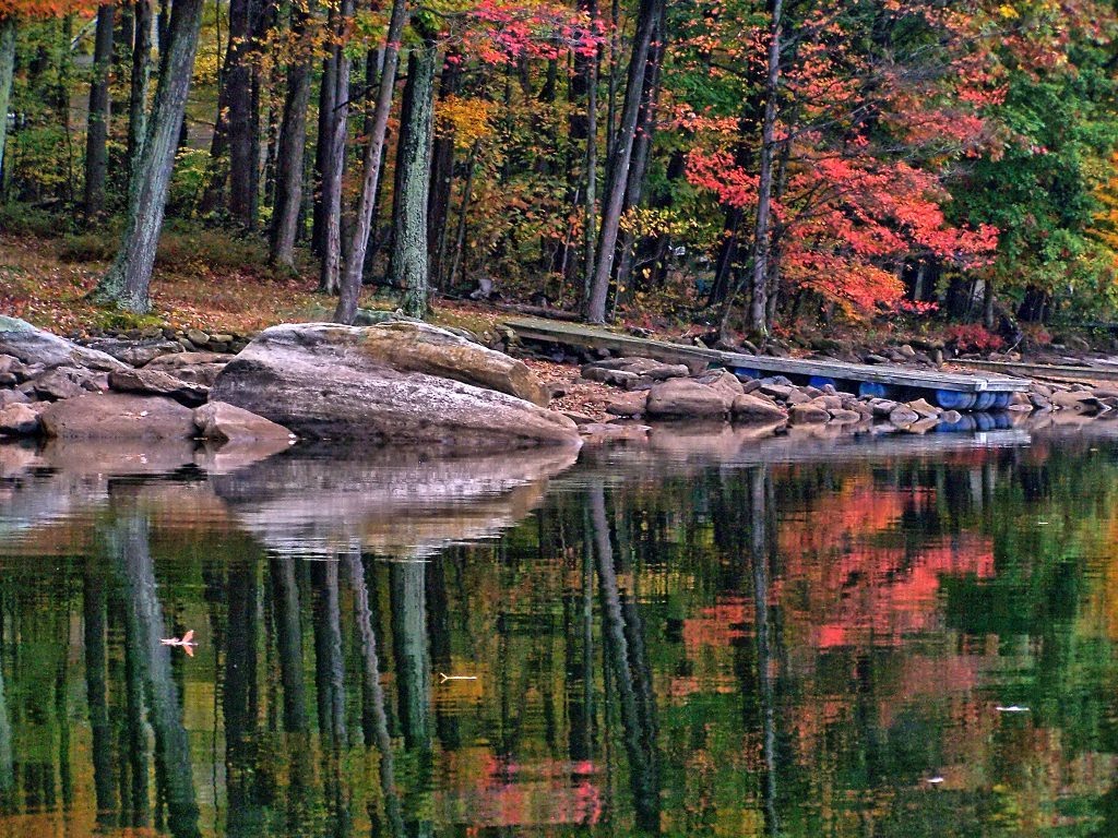 The Fall Foliage Season photographed from a Paddleboard