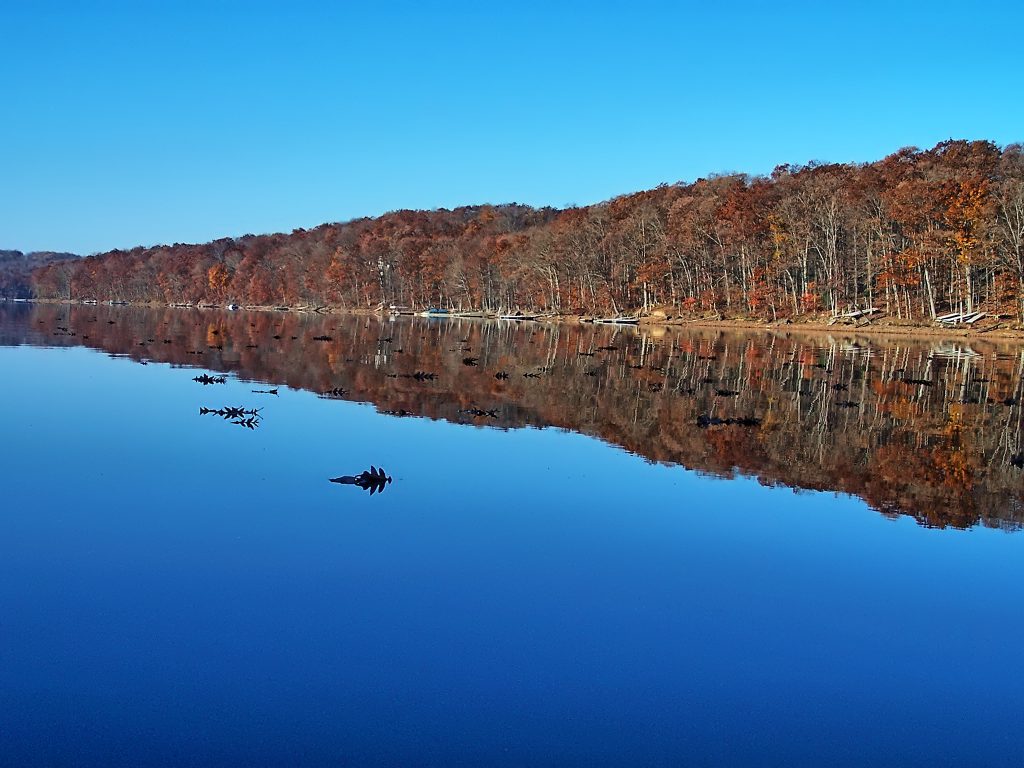 The Fall Foliage Season photographed from a Paddleboard