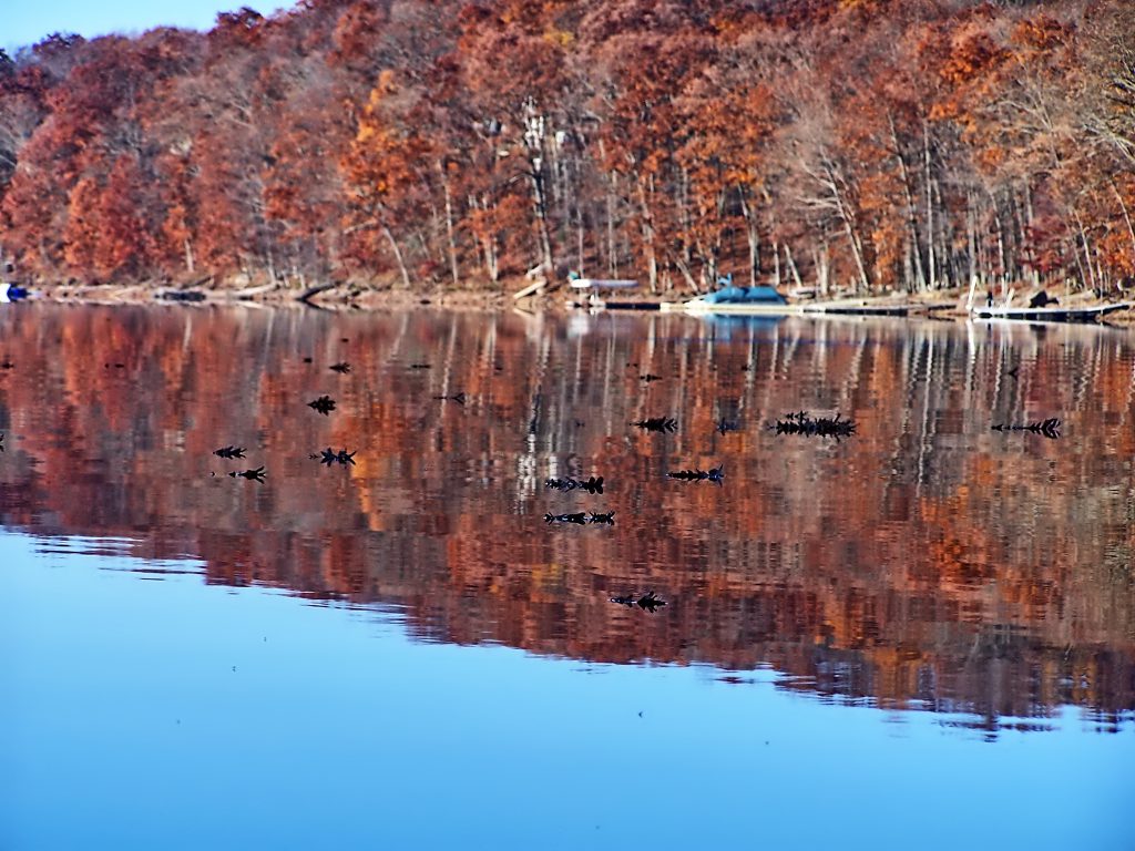 The Fall Foliage Season photographed from a Paddleboard