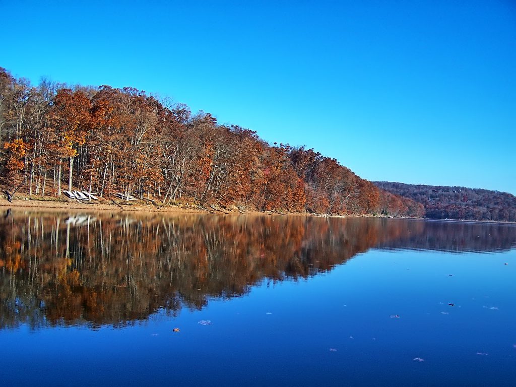 The Fall Foliage Season photographed from a Paddleboard