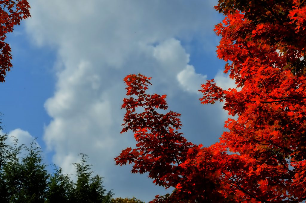 The Autumn Glory Festival 2016 Deep Creek Lake