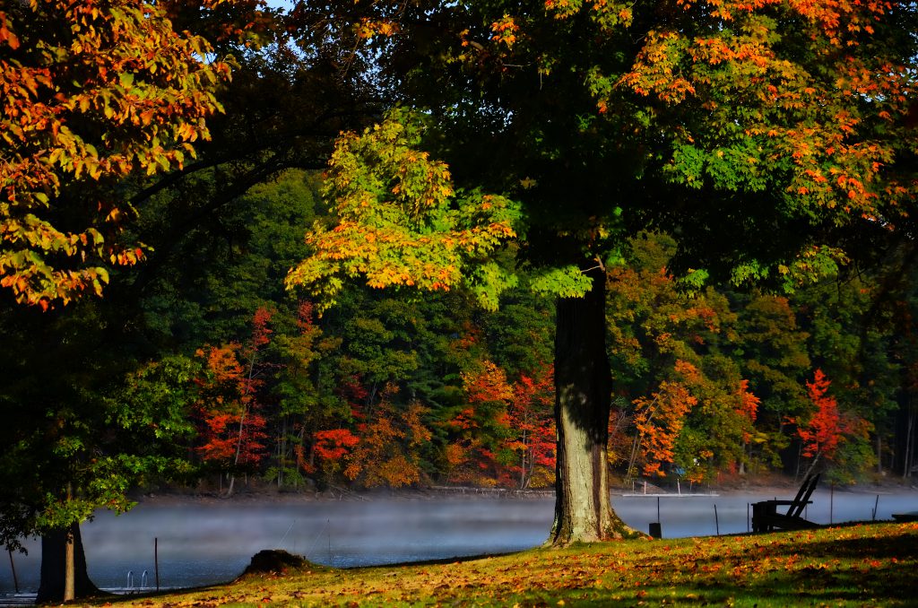 October Fall Foliage Gallery Deep Creek Lake