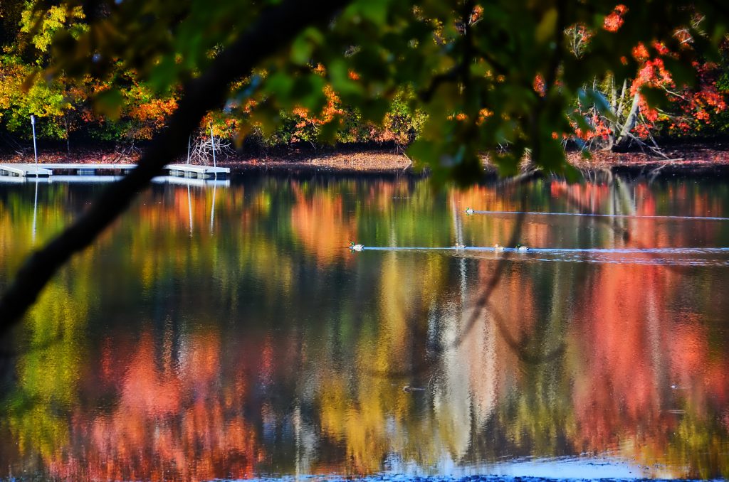 October Fall Foliage Gallery Deep Creek Lake