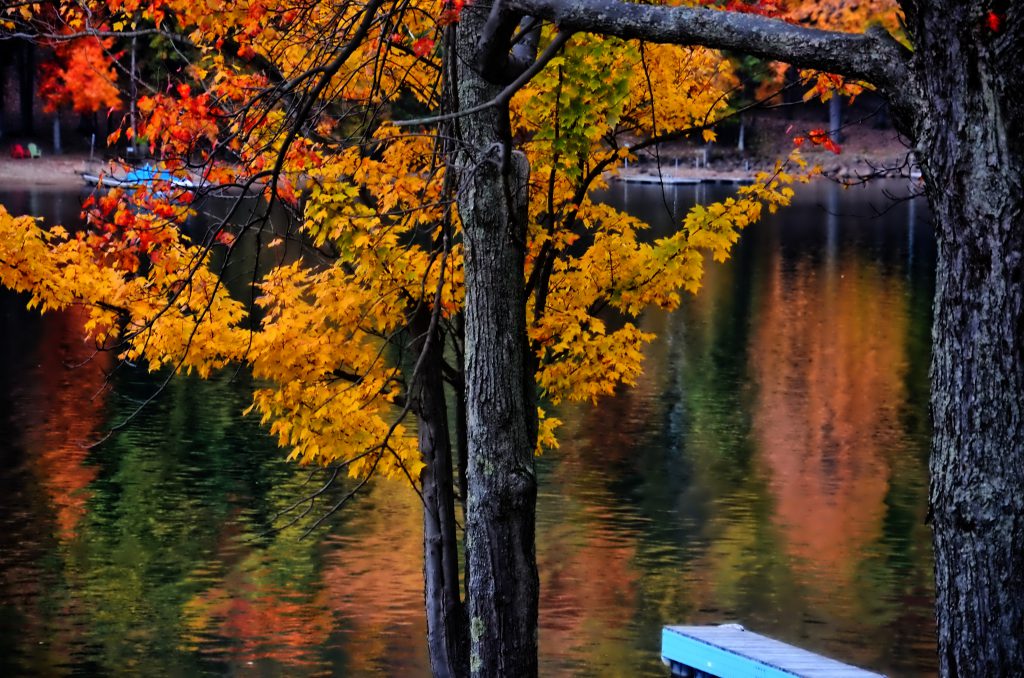 October Fall Foliage Gallery Deep Creek Lake