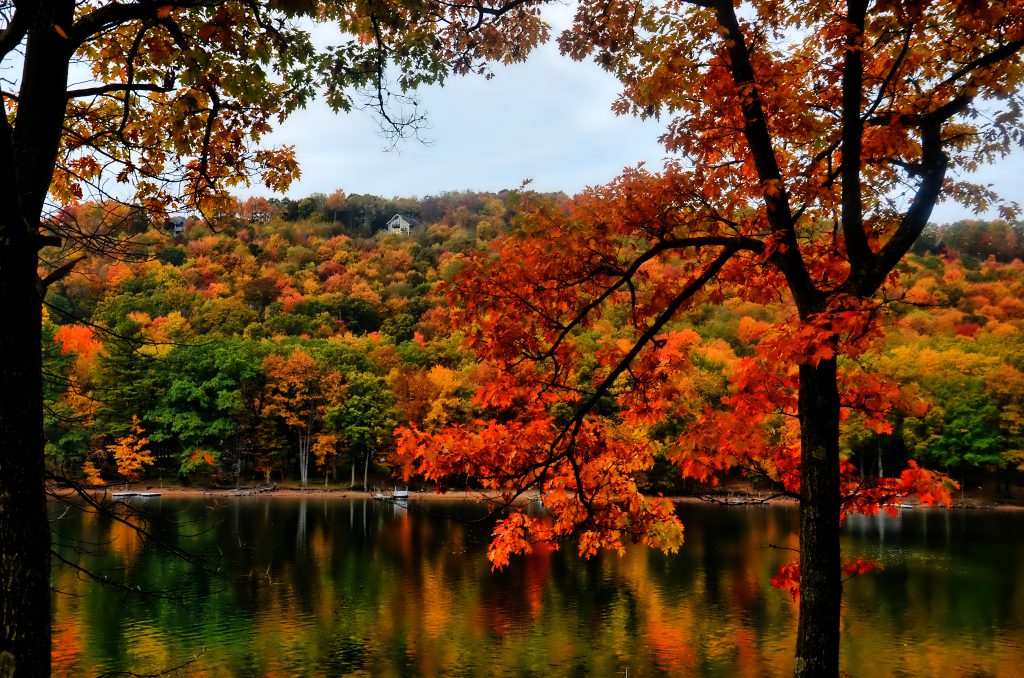 October Fall Foliage Gallery Deep Creek Lake