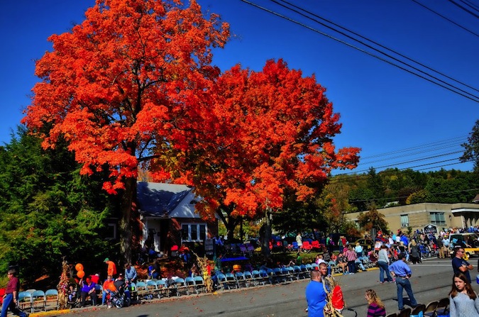 Autumn Glory Festival