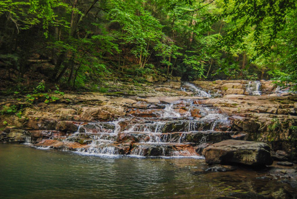 potomac state forest